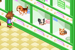screenshots/Game Boy Advance/Dogz/Dogz (USA).png
